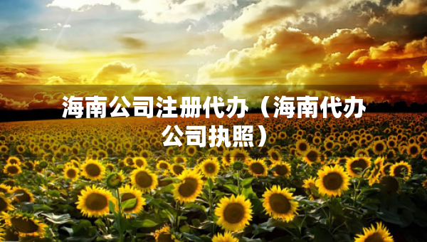 海南公司注冊代辦（海南代辦公司執(zhí)照）