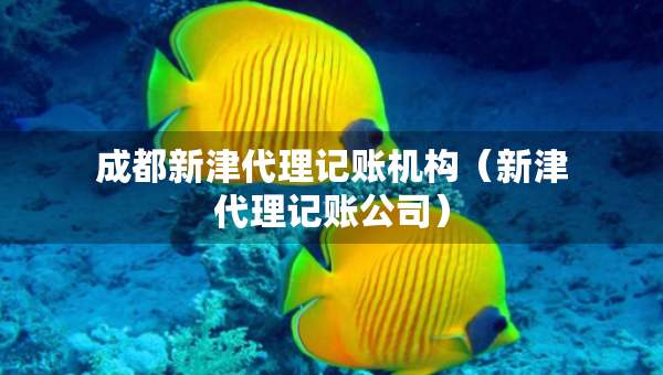 成都新津代理記賬機(jī)構(gòu)（新津代理記賬公司）