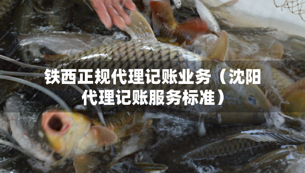 鐵西正規(guī)代理記賬業(yè)務(wù)（沈陽代理記賬服務(wù)標(biāo)準(zhǔn)）