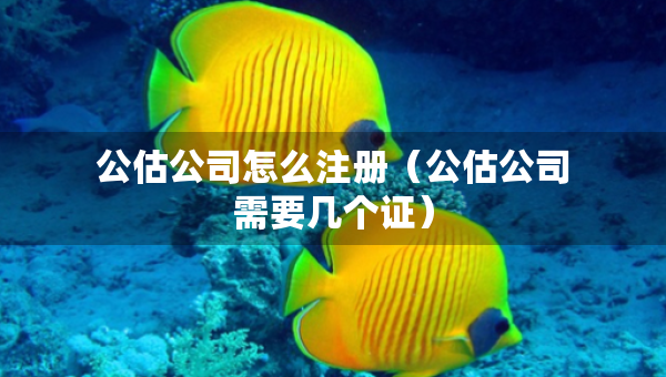 公估公司怎么注冊（公估公司需要幾個證）