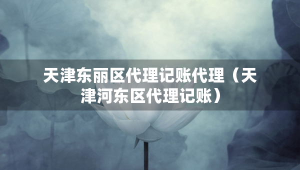 天津東麗區(qū)代理記賬代理（天津河?xùn)|區(qū)代理記賬）