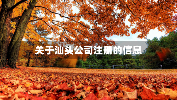 關(guān)于汕頭公司注冊的信息