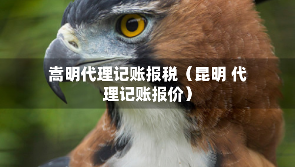 嵩明代理記賬報(bào)稅（昆明 代理記賬報(bào)價(jià)）