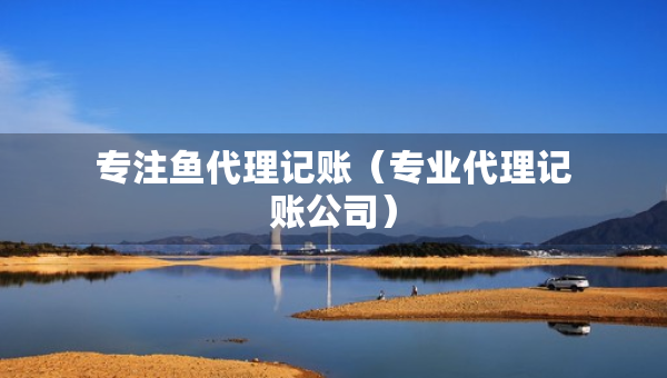 專注魚代理記賬（專業(yè)代理記賬公司）