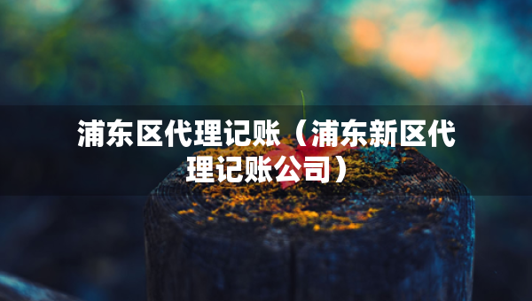 浦東區(qū)代理記賬（浦東新區(qū)代理記賬公司）