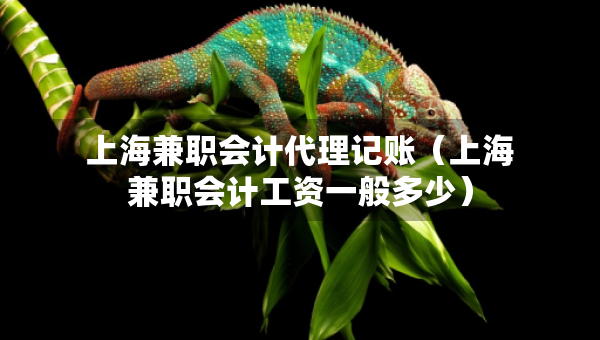 上海兼職會(huì)計(jì)代理記賬（上海兼職會(huì)計(jì)工資一般多少）