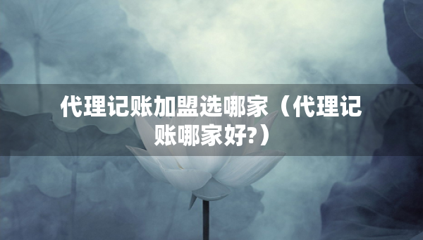 代理記賬加盟選哪家（代理記賬哪家好?）