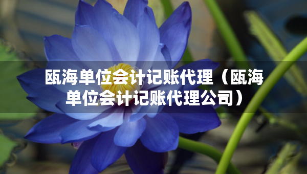 甌海單位會(huì)計(jì)記賬代理（甌海單位會(huì)計(jì)記賬代理公司）
