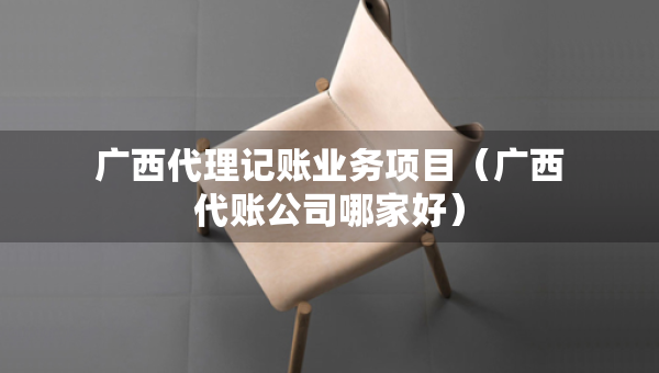 廣西代理記賬業(yè)務(wù)項(xiàng)目（廣西代賬公司哪家好）