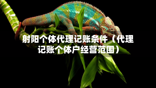 射陽個(gè)體代理記賬條件（代理記賬個(gè)體戶經(jīng)營范圍）