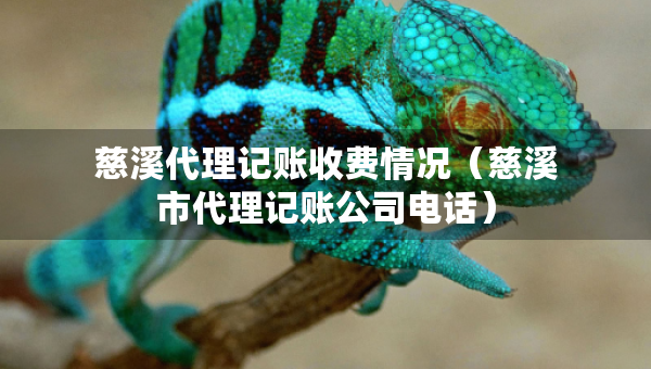 慈溪代理記賬收費(fèi)情況（慈溪市代理記賬公司電話）
