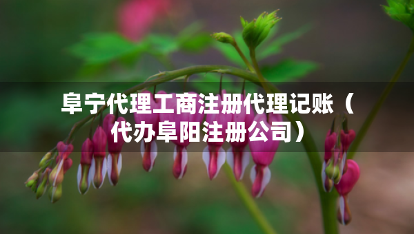 阜寧代理工商注冊代理記賬（代辦阜陽注冊公司）