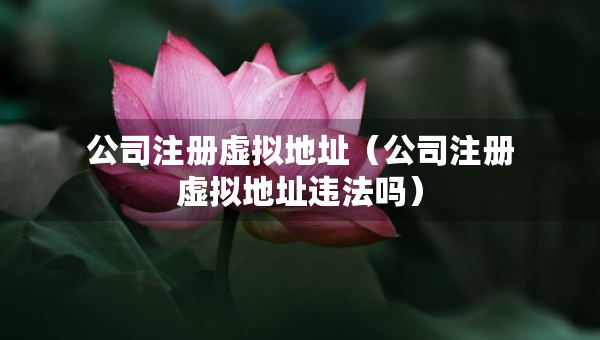 公司注冊(cè)虛擬地址（公司注冊(cè)虛擬地址違法嗎）