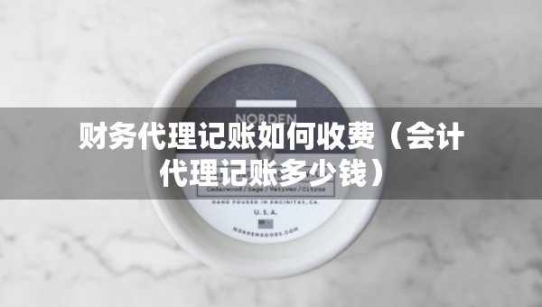 財(cái)務(wù)代理記賬如何收費(fèi)（會(huì)計(jì)代理記賬多少錢）