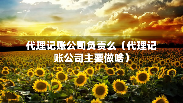代理記賬公司負(fù)責(zé)么（代理記賬公司主要做啥）