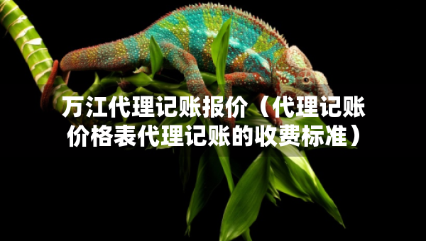 萬江代理記賬報價（代理記賬價格表代理記賬的收費(fèi)標(biāo)準(zhǔn)）