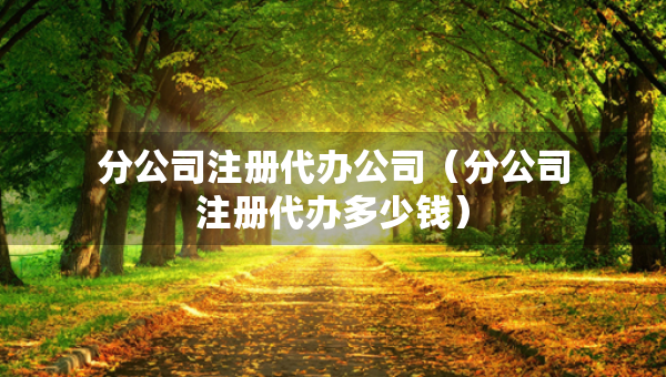 分公司注冊(cè)代辦公司（分公司注冊(cè)代辦多少錢）