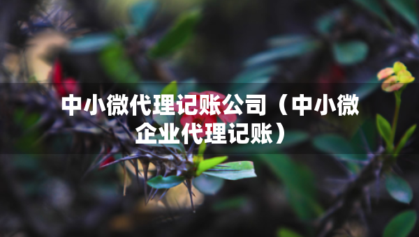 中小微代理記賬公司（中小微企業(yè)代理記賬）