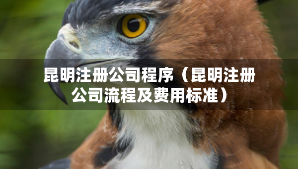 昆明注冊公司程序（昆明注冊公司流程及費用標準）