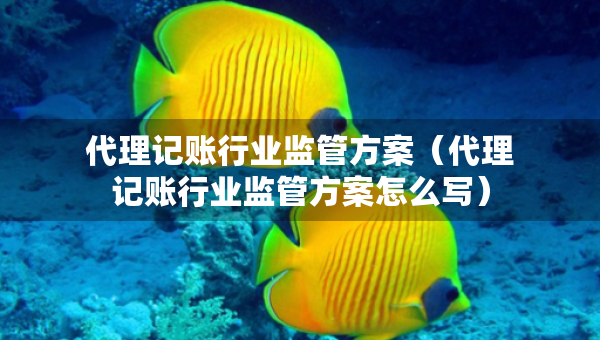 代理記賬行業(yè)監(jiān)管方案（代理記賬行業(yè)監(jiān)管方案怎么寫）