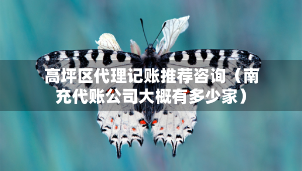 高坪區(qū)代理記賬推薦咨詢（南充代賬公司大概有多少家）