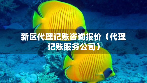 新區(qū)代理記賬咨詢報價（代理記賬服務(wù)公司）