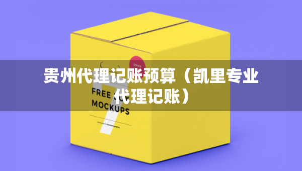 貴州代理記賬預(yù)算（凱里專業(yè)代理記賬）