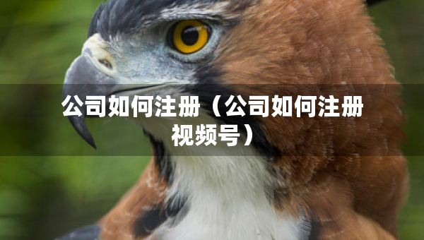 公司如何注冊(cè)（公司如何注冊(cè)視頻號(hào)）