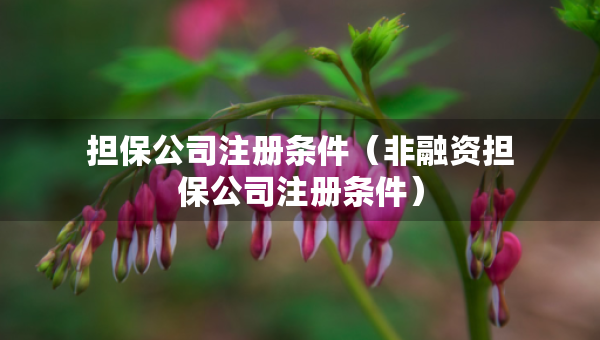 擔保公司注冊條件（非融資擔保公司注冊條件）