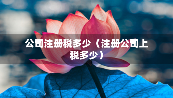 公司注冊稅多少（注冊公司上稅多少）