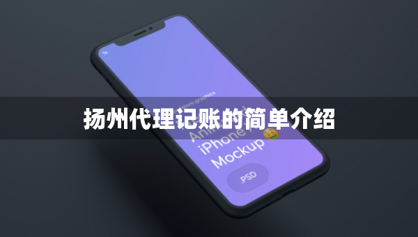 揚州代理記賬的簡單介紹