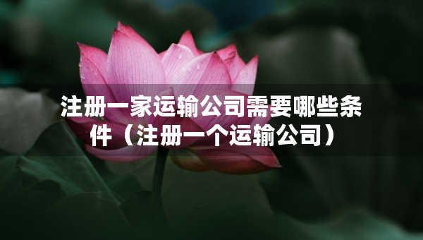 注冊(cè)一家運(yùn)輸公司需要哪些條件（注冊(cè)一個(gè)運(yùn)輸公司）