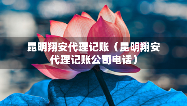 昆明翔安代理記賬（昆明翔安代理記賬公司電話）
