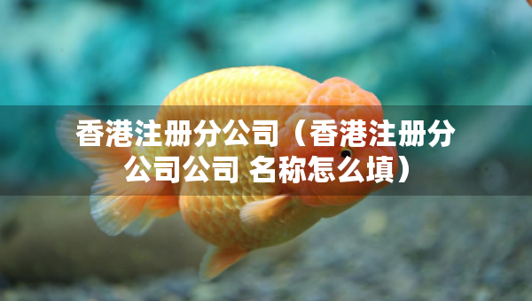 香港注冊(cè)分公司（香港注冊(cè)分公司公司 名稱怎么填）