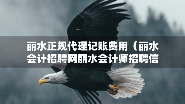 麗水正規(guī)代理記賬費用（麗水會計招聘網(wǎng)麗水會計師招聘信息）