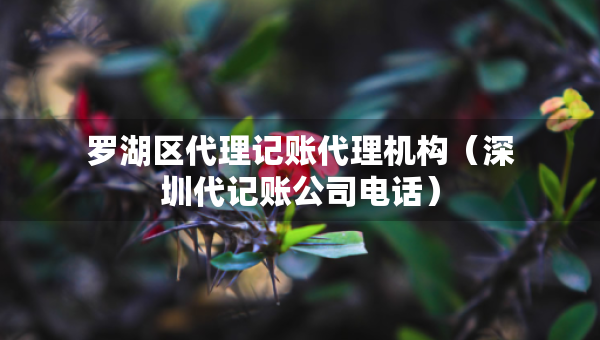 羅湖區(qū)代理記賬代理機構(gòu)（深圳代記賬公司電話）