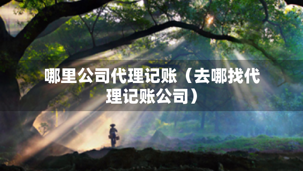 哪里公司代理記賬（去哪找代理記賬公司）