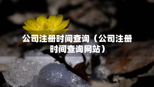 公司注冊時間查詢（公司注冊時間查詢網(wǎng)站）