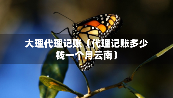 大理代理記賬（代理記賬多少錢一個(gè)月云南）