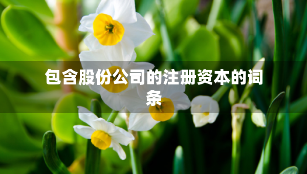 包含股份公司的注冊(cè)資本的詞條