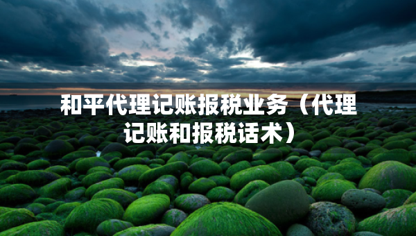和平代理記賬報(bào)稅業(yè)務(wù)（代理記賬和報(bào)稅話術(shù)）