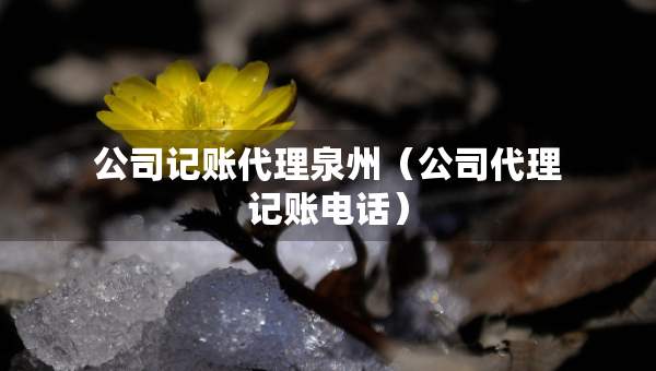 公司記賬代理泉州（公司代理記賬電話）