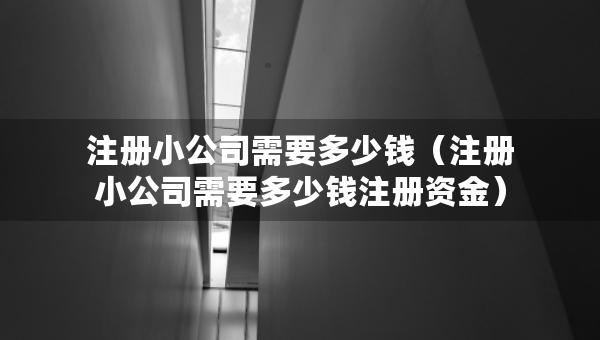 注冊(cè)小公司需要多少錢（注冊(cè)小公司需要多少錢注冊(cè)資金）