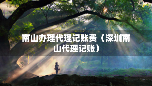 南山辦理代理記賬費（深圳南山代理記賬）