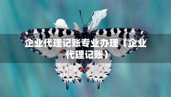 企業(yè)代理記賬專業(yè)辦理（企業(yè) 代理記賬）