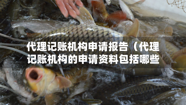 代理記賬機(jī)構(gòu)申請報(bào)告（代理記賬機(jī)構(gòu)的申請資料包括哪些）