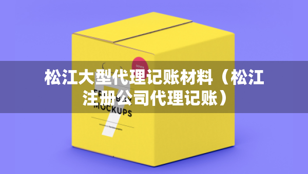 松江大型代理記賬材料（松江注冊(cè)公司代理記賬）