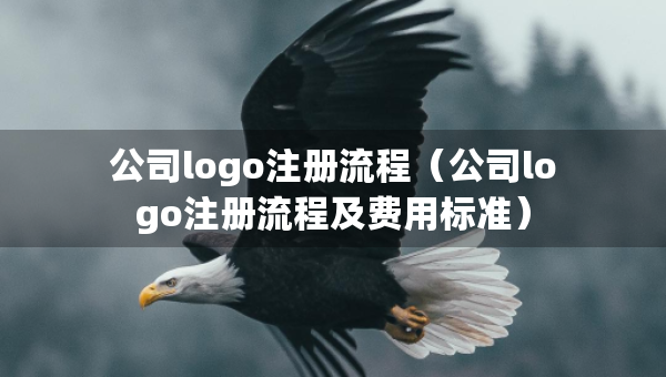 公司logo注冊流程（公司logo注冊流程及費用標(biāo)準(zhǔn)）