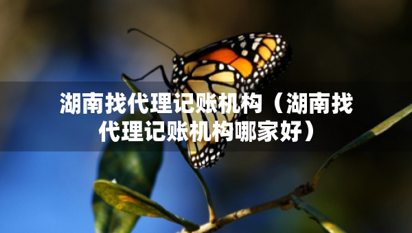 湖南找代理記賬機構（湖南找代理記賬機構哪家好）