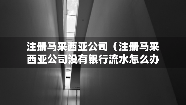 注冊(cè)馬來西亞公司（注冊(cè)馬來西亞公司沒有銀行流水怎么辦）
